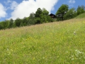 Bad_Gastein_2014_5